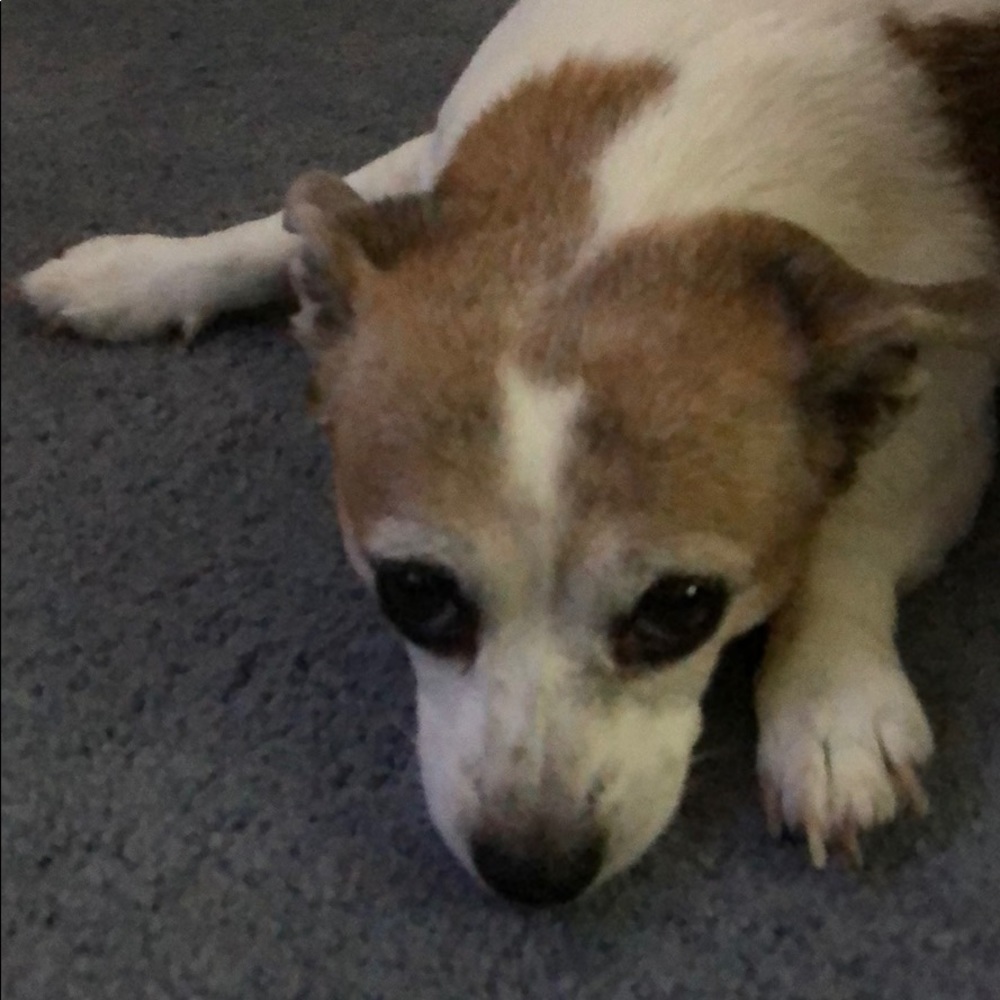 Meet your Posher, Yvonne